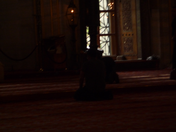 P1040428.JPG 3456x2592 index 184